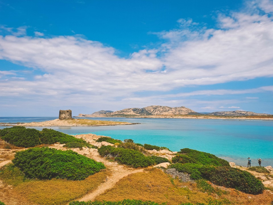 Torre La Pelosetta, Isola Piana e Asinara