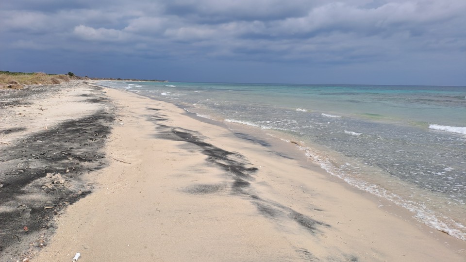 Riserva Naturale Le Cesine