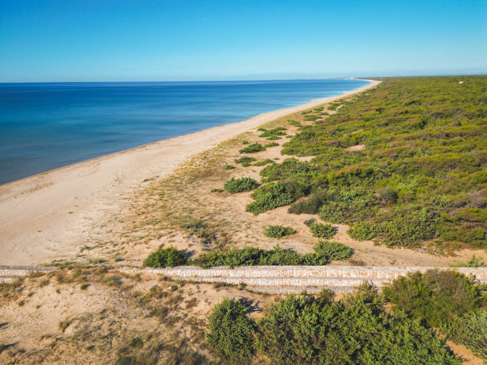 Spiaggia di Pino di Lenne