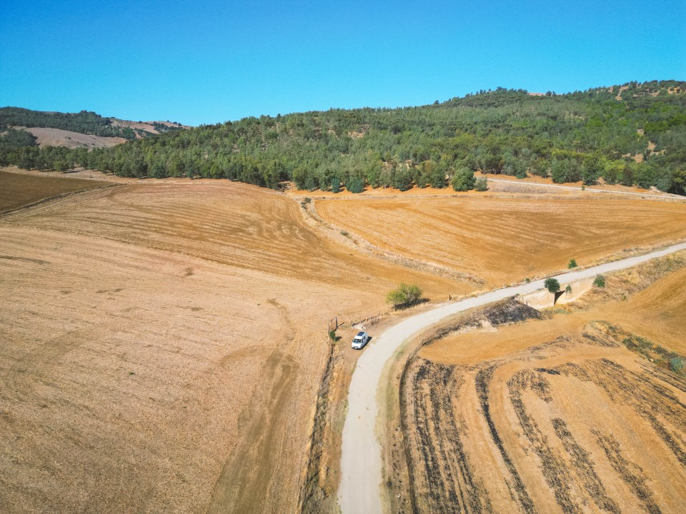 Di nuovo in viaggio