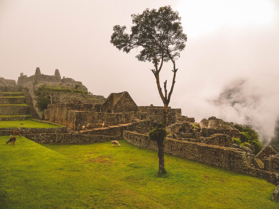 Machu Picchu