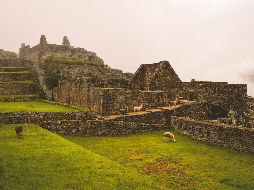 Machu Picchu