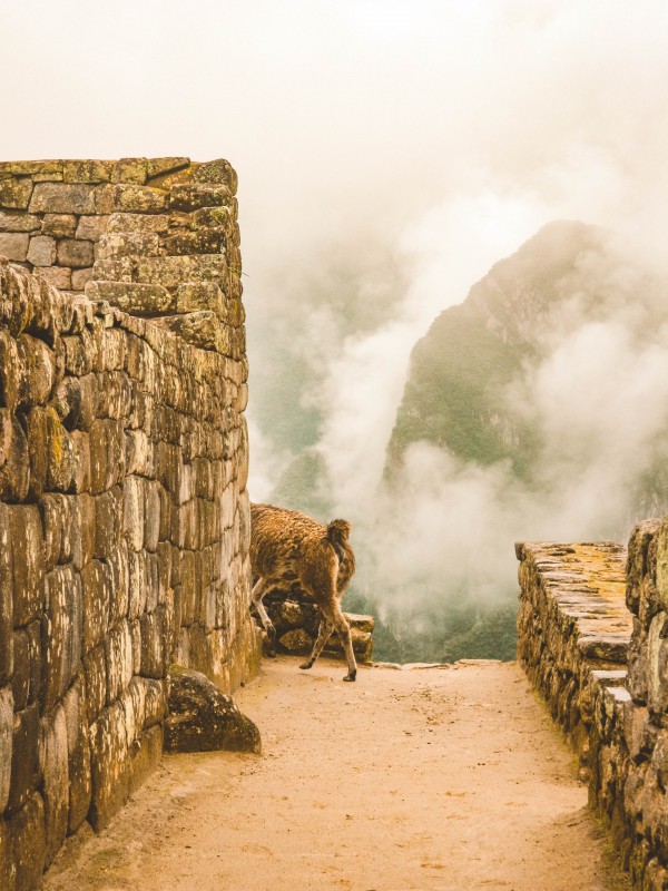 Machu Picchu