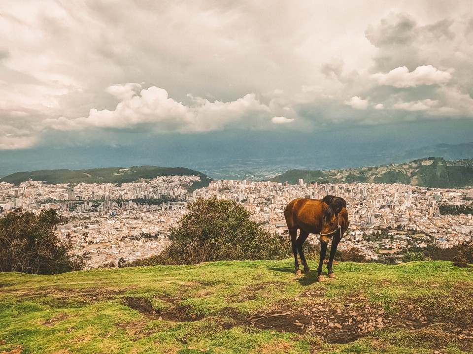 Quito dall'alto