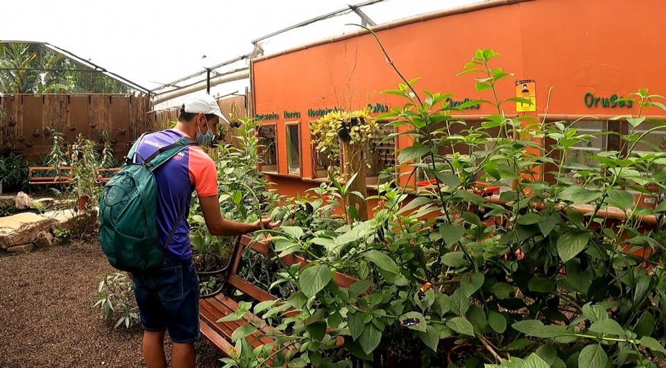 Mariposario di Mindo