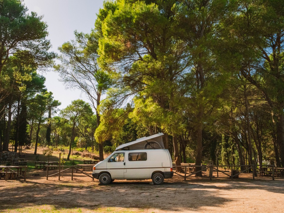 Vaniglia parcheggiato nel Bosco della Baronia