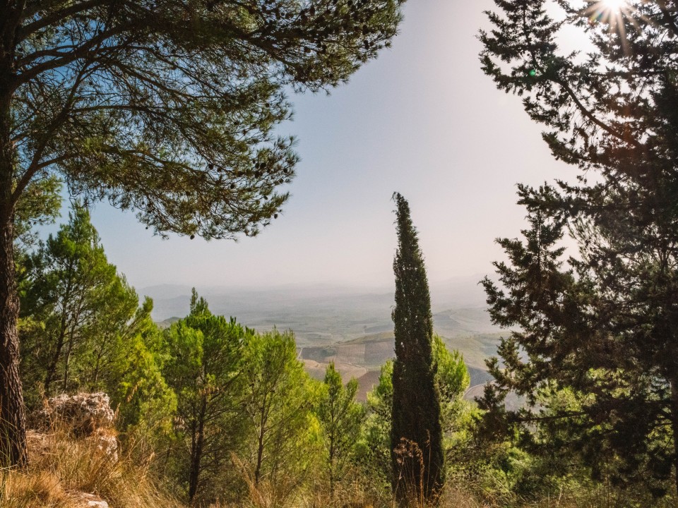 Panorama dalla cima di Monte Baronia