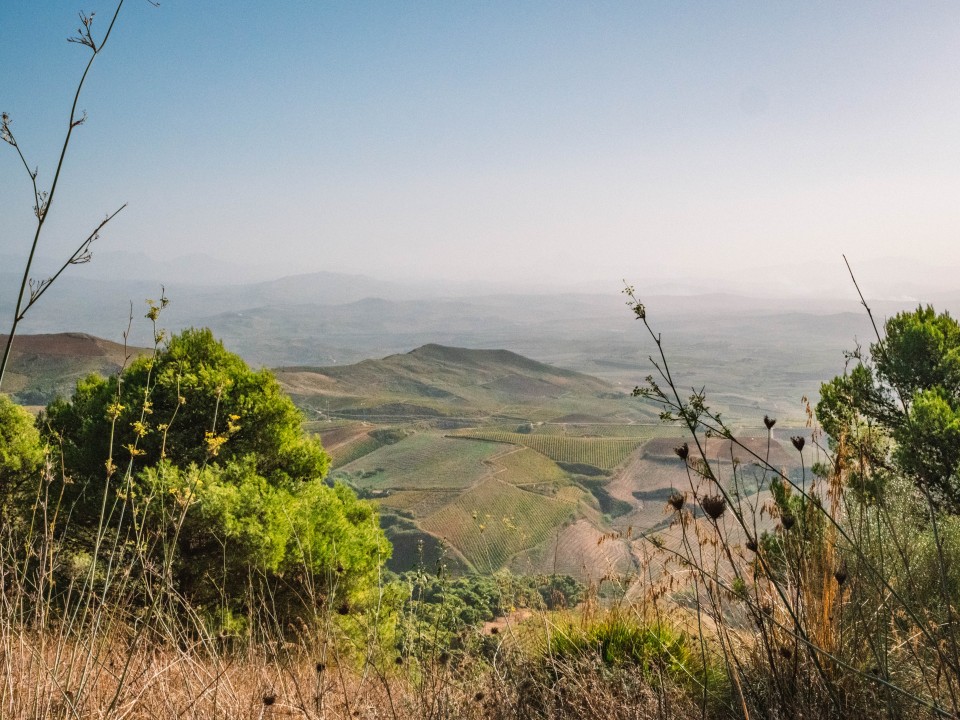 Panorama dalla cima di Monte Baronia