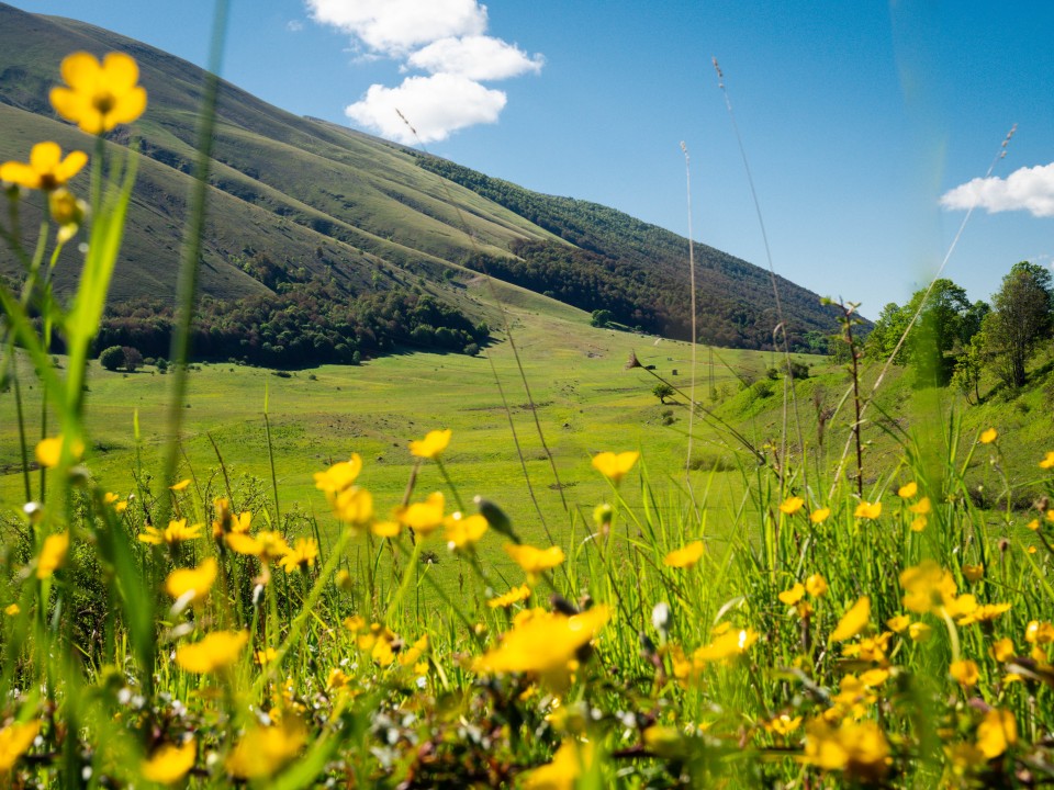 Passo di Godi