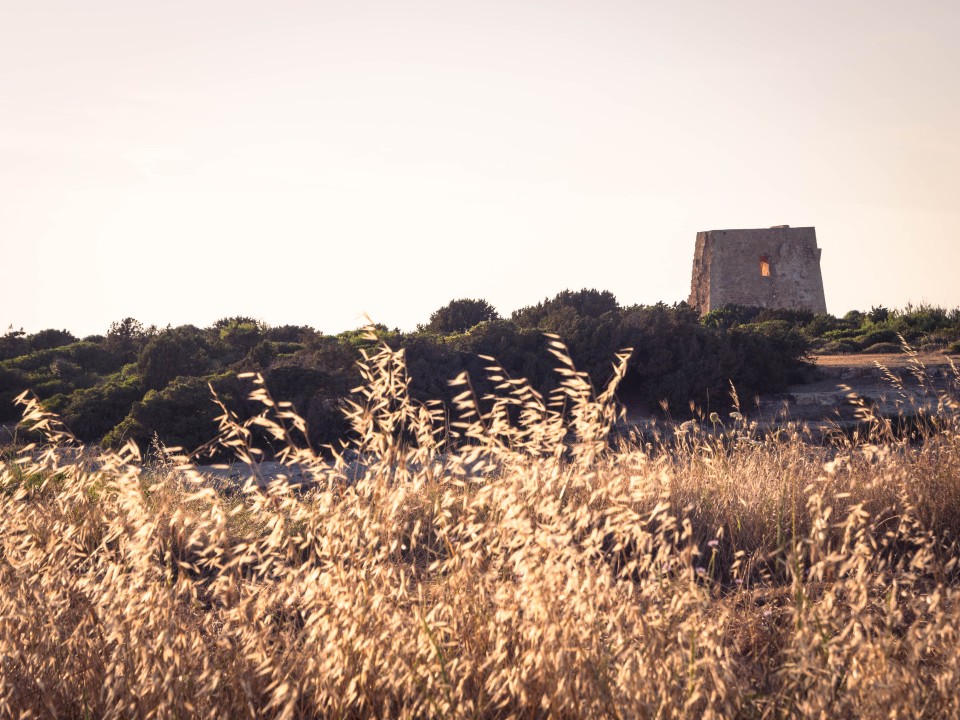 Torre Pozzelle al tramonto