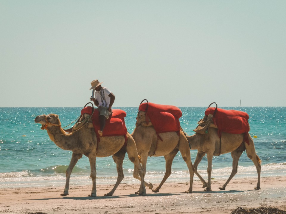 Djerba