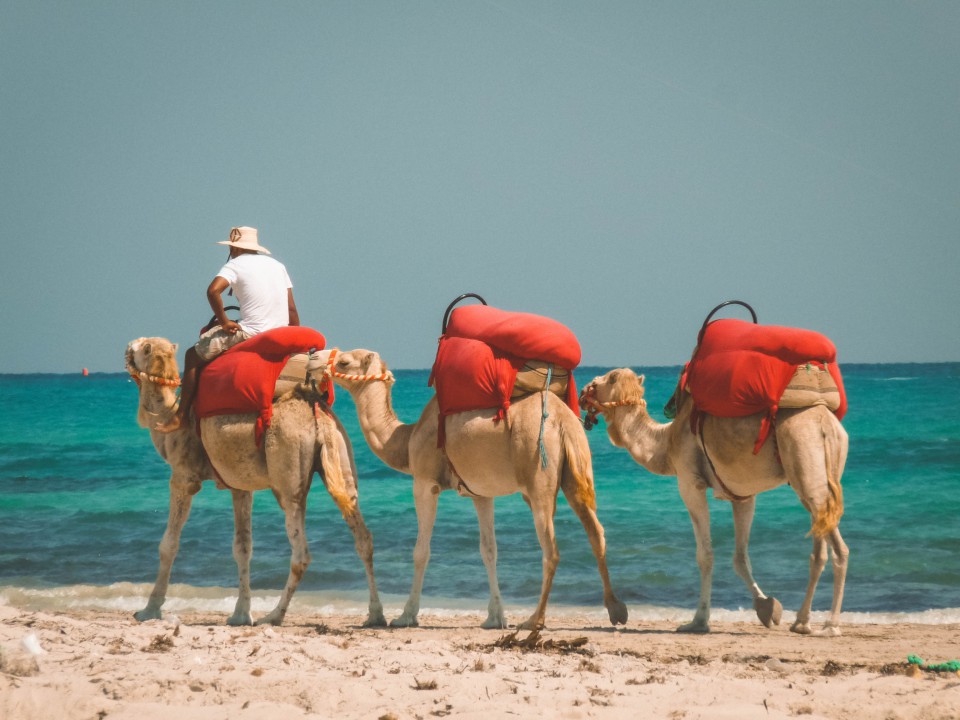 Djerba