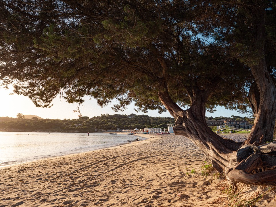 Spiaggia Ira, Porto Rotondo