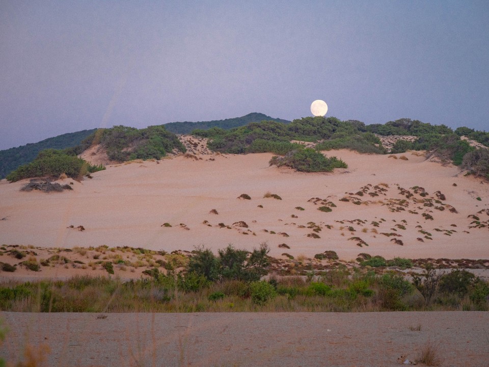 La luna sorge dietro le dune