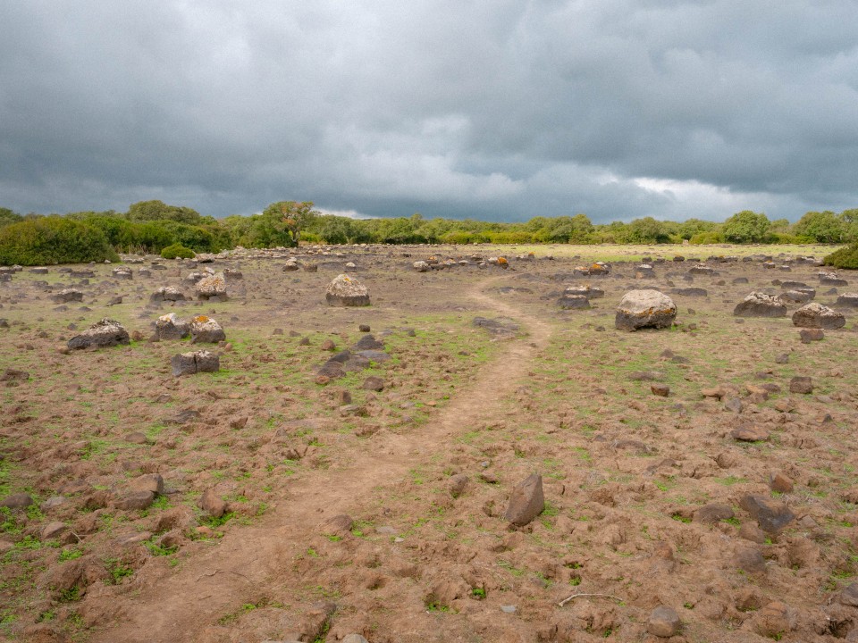 Altopiano della Giara di Gesturi