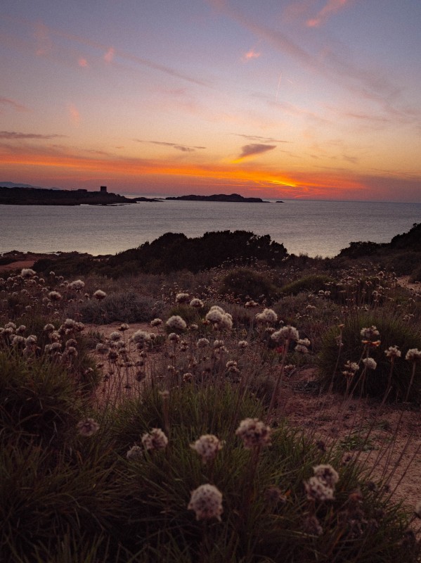 Tramonto sulla Torre Spagnola di Isola Rossa