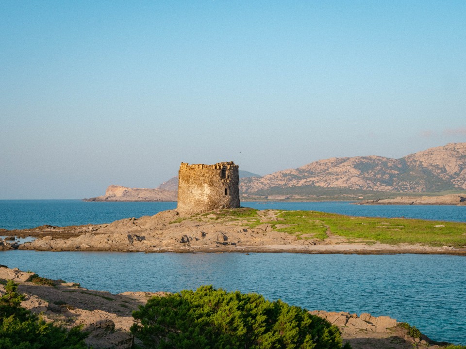 Torre della Pelosa