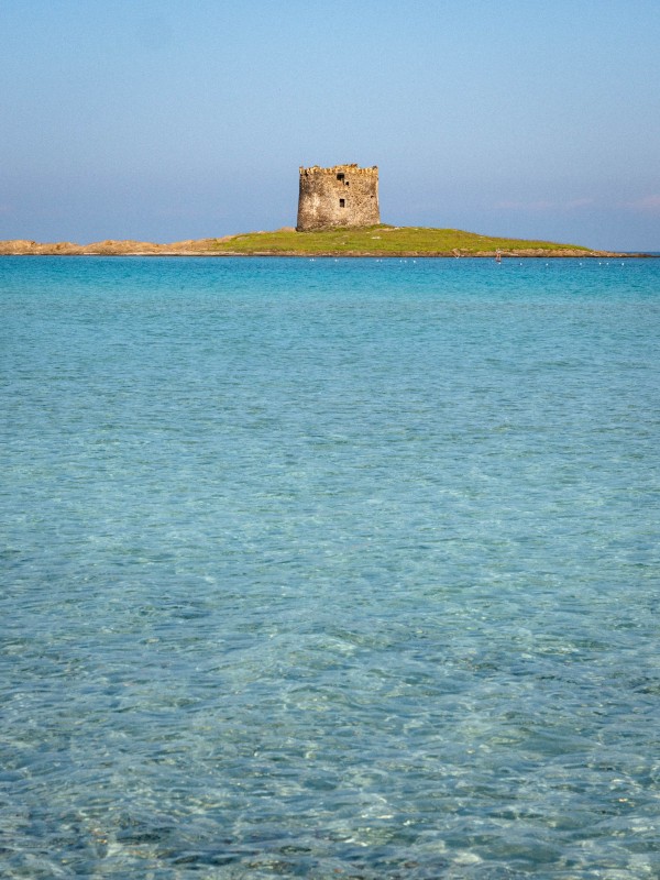 Torre della Pelosa