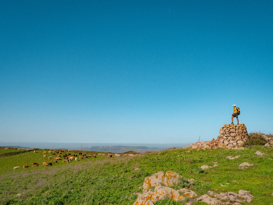 Monte Pelau, altopiano