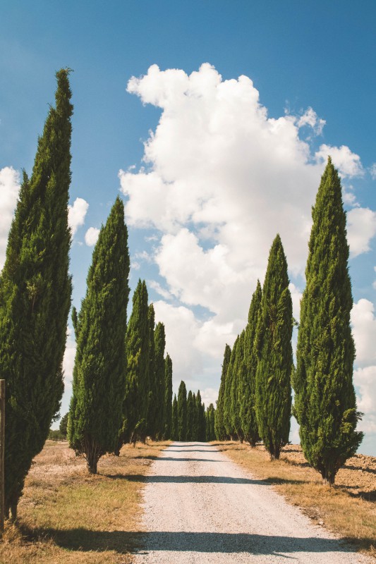 Pienza