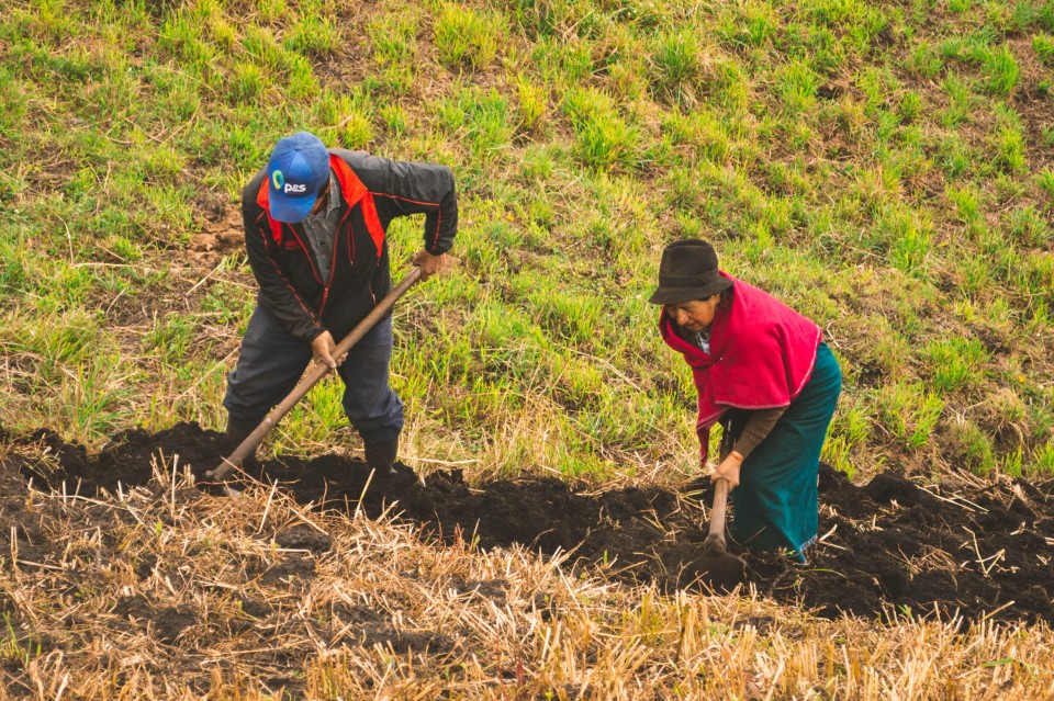  Lavorare la terra