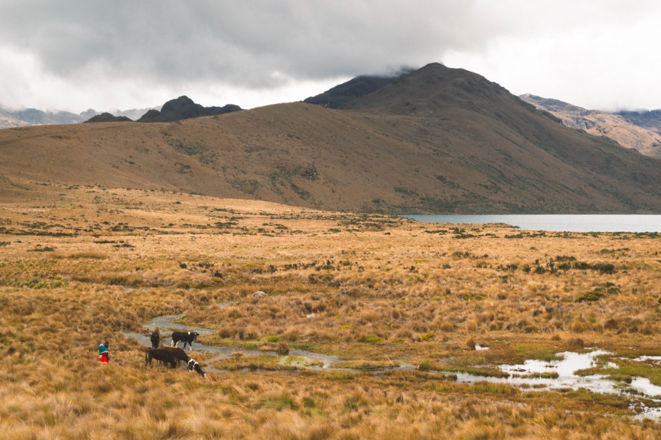 Laguna di Ozogoche