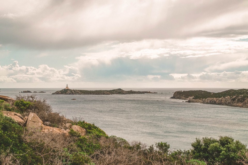  L'isola dei Cavoli