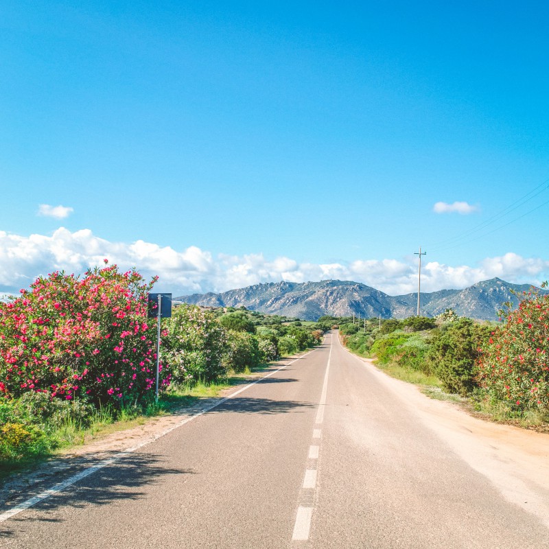 La strada verso il promontorio