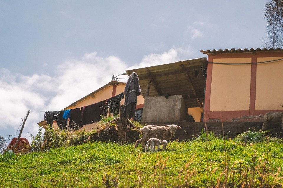 Casa tipica a La Esperanza