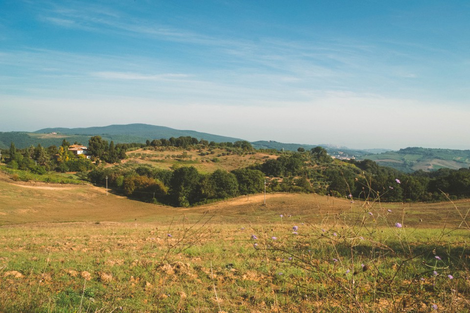 Montepulciano