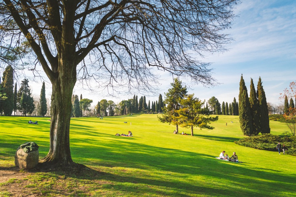 Il grande tappeto erboso