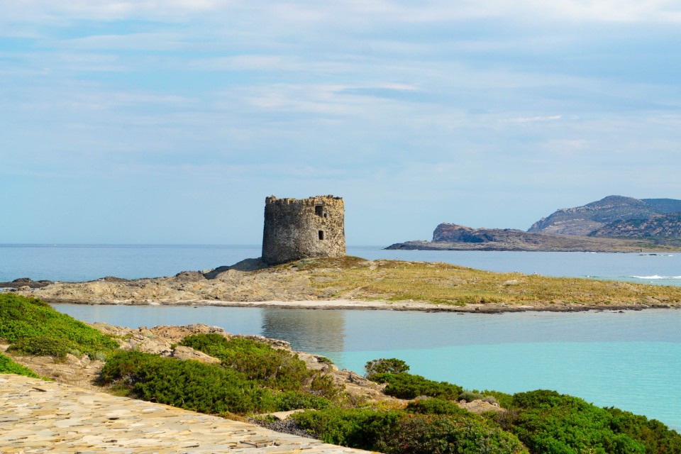 Torre La Pelosetta