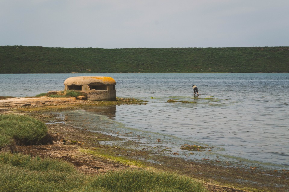  A pesca di vongole