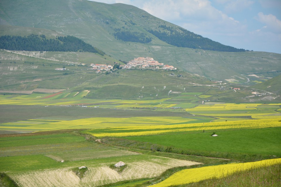 Piani di Castelluccio