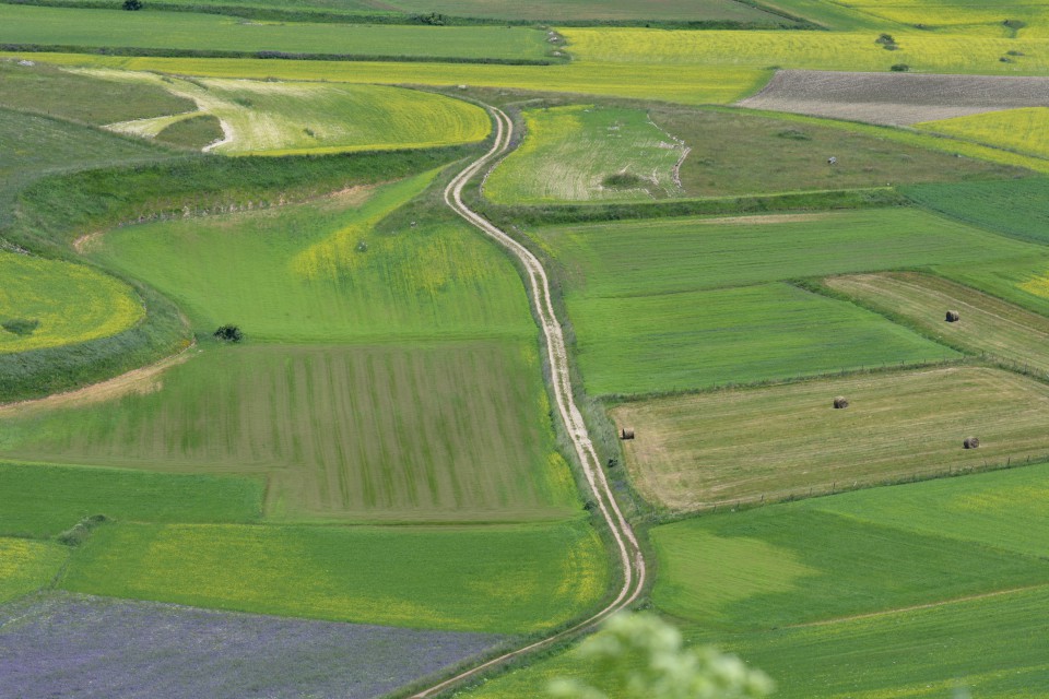 Piani di Castelluccio