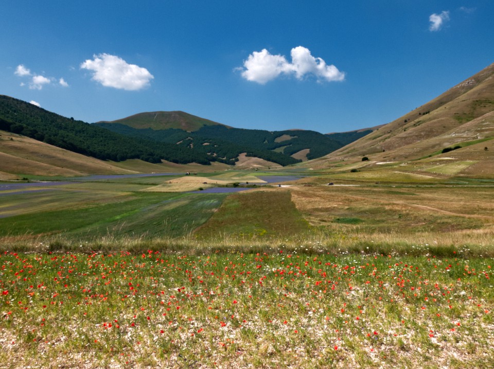 Piani di Castelluccio