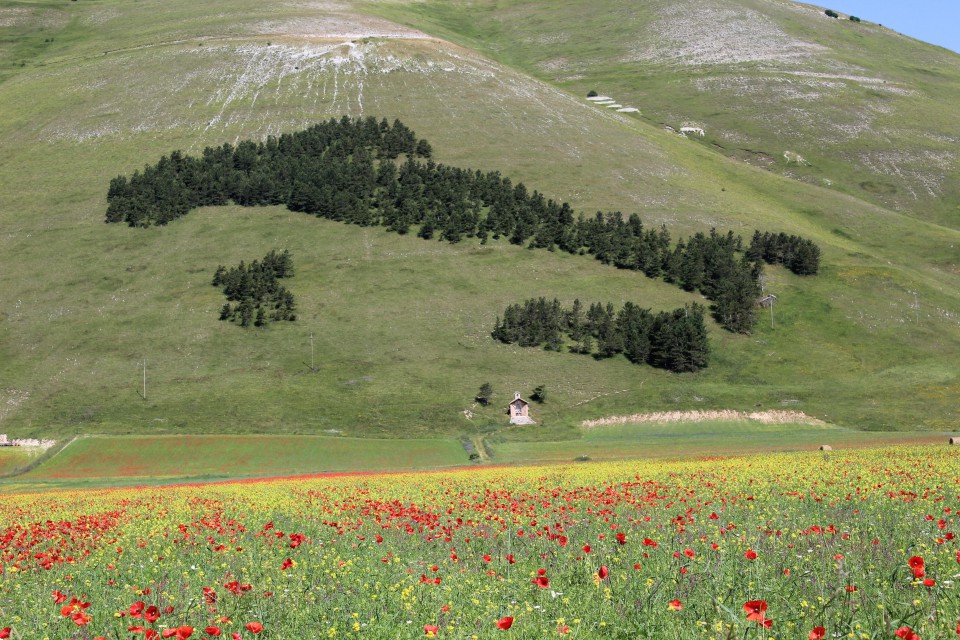 Piani di Castelluccio