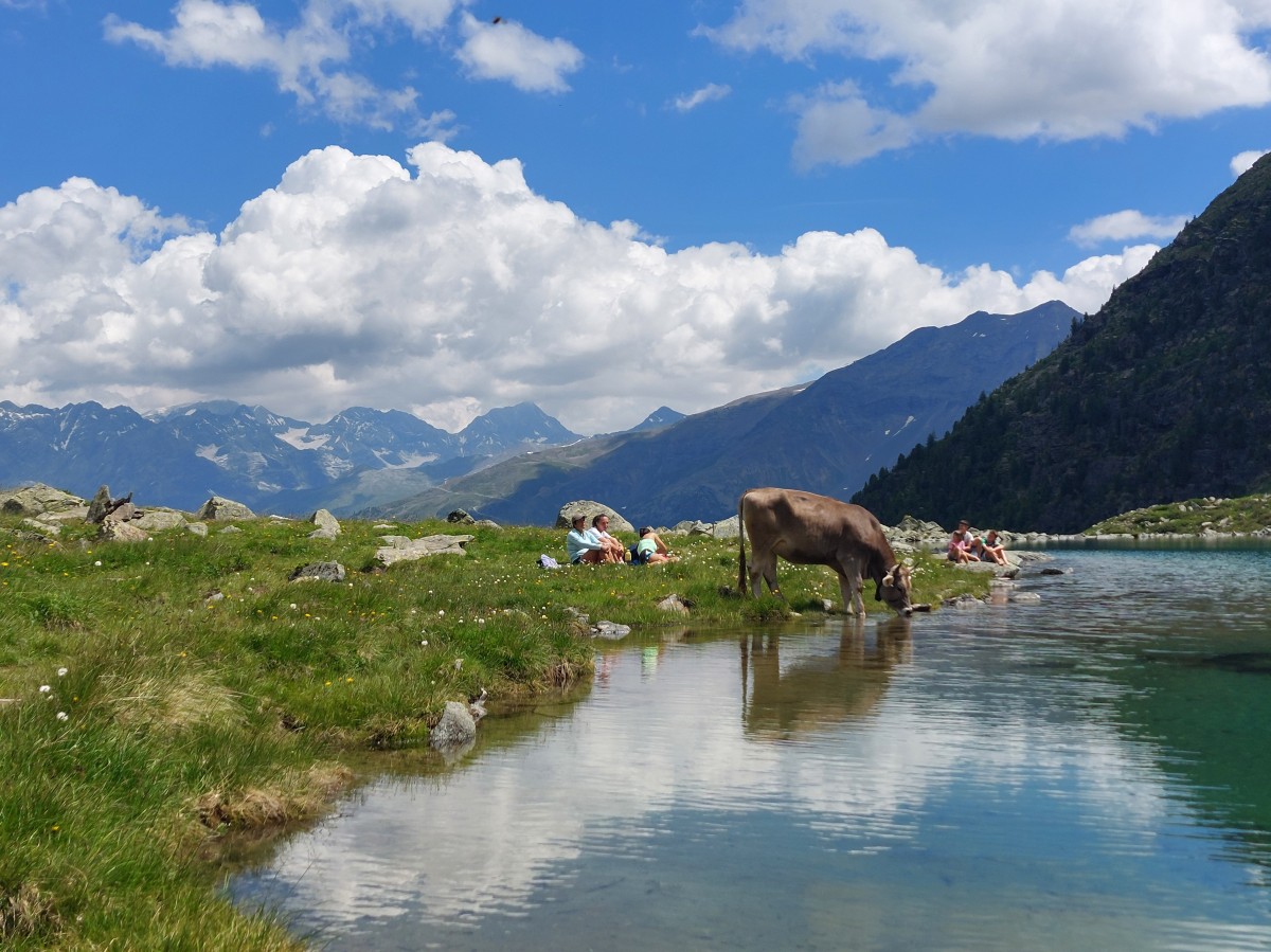 Monte - Lago Campaccio