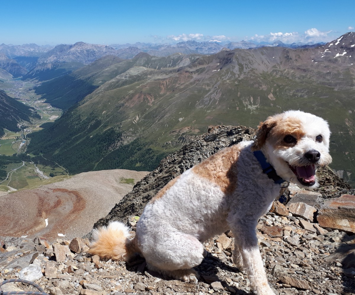 Sulla cima del Monte Vago