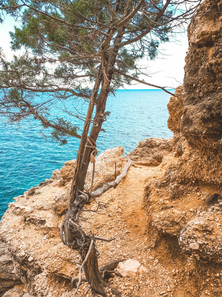 Discesa verso Cala Mariolu