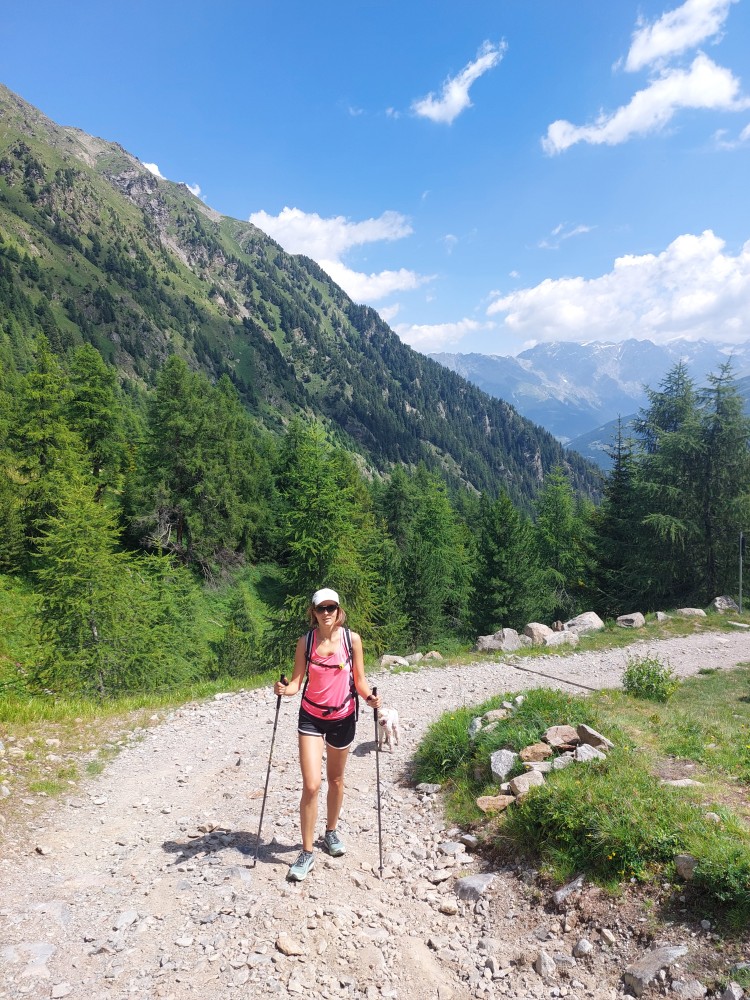 Il sentiero esce dal bosco