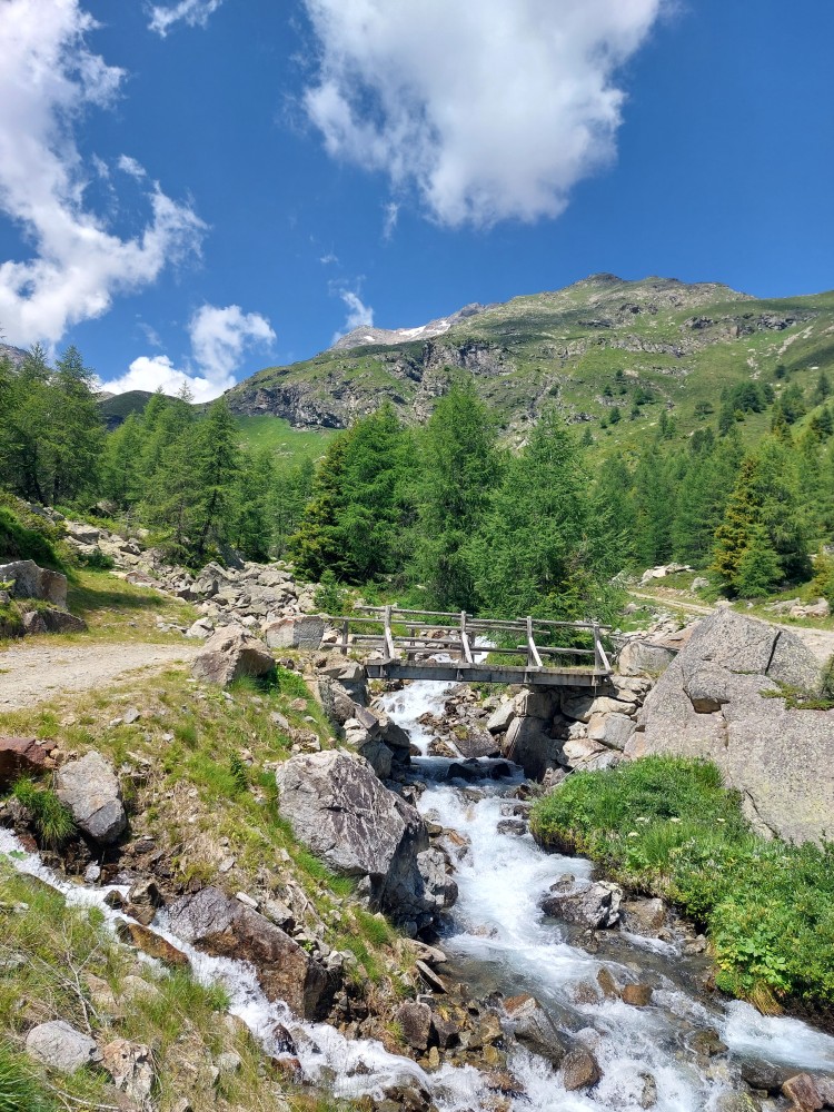 Salita verso il Lago Campaccio