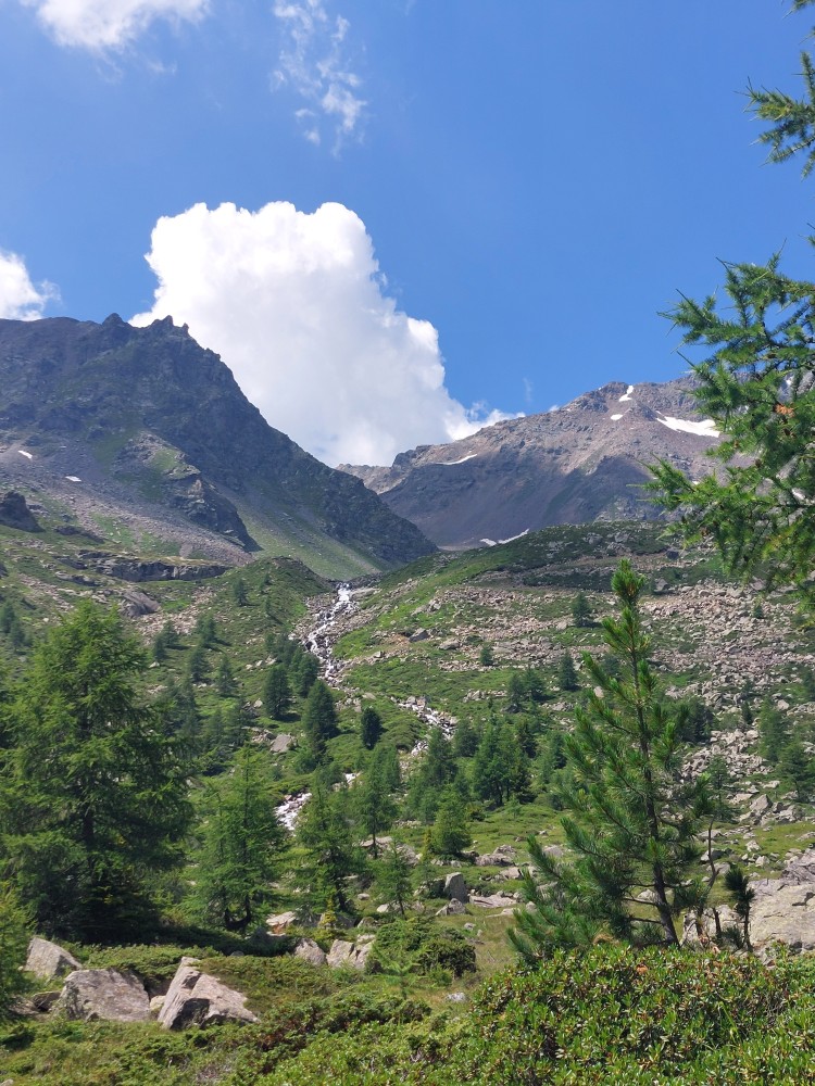 Salita verso il Lago Campaccio