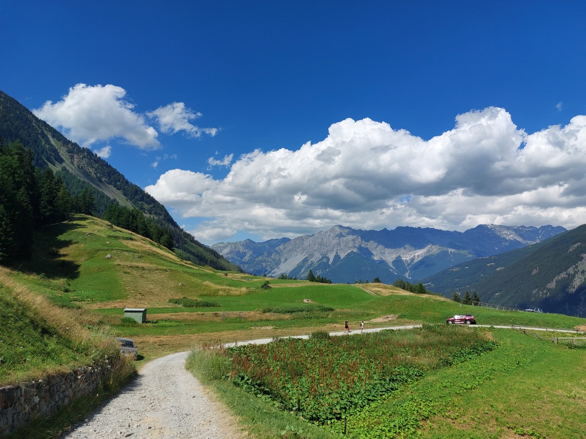 Monte, Valdisotto