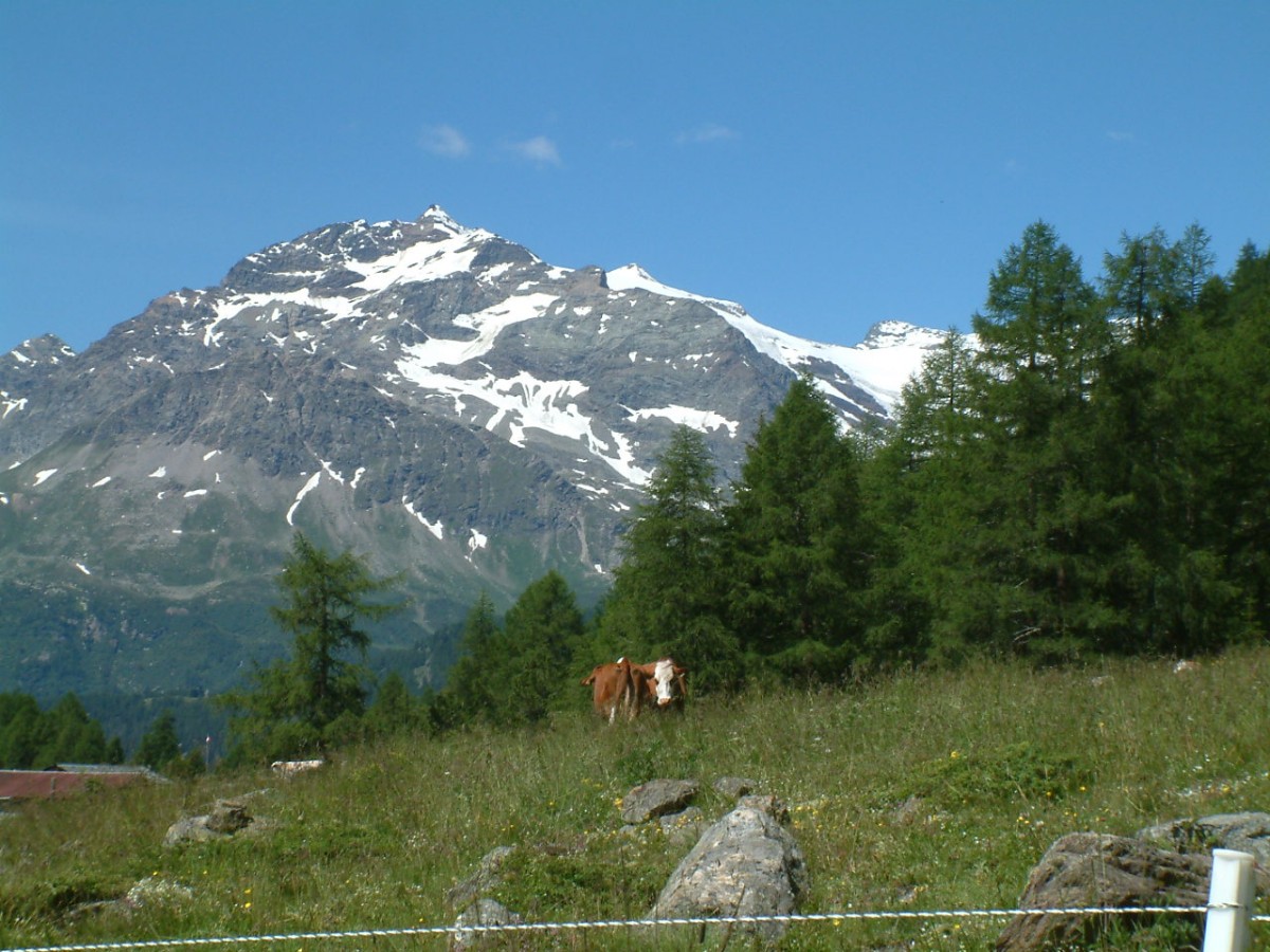 Lago Saoseo, Val di Campo