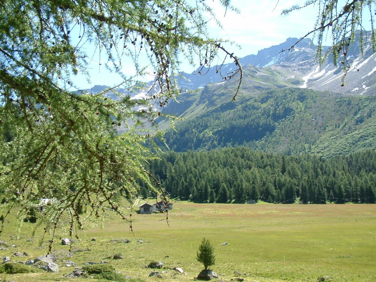 Lago Saoseo, Val di Campo