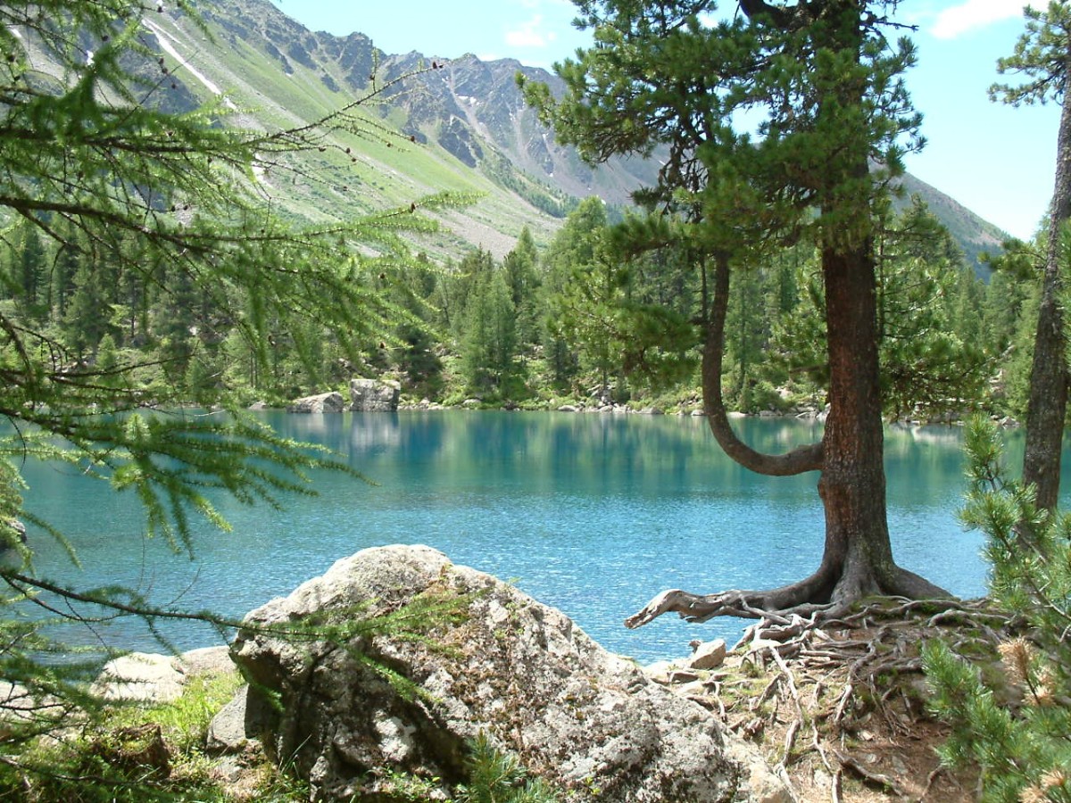 Lago Saoseo, Val di Campo