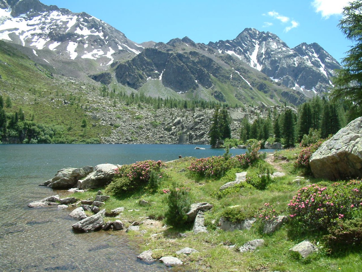 Lago Saoseo, Val di Campo