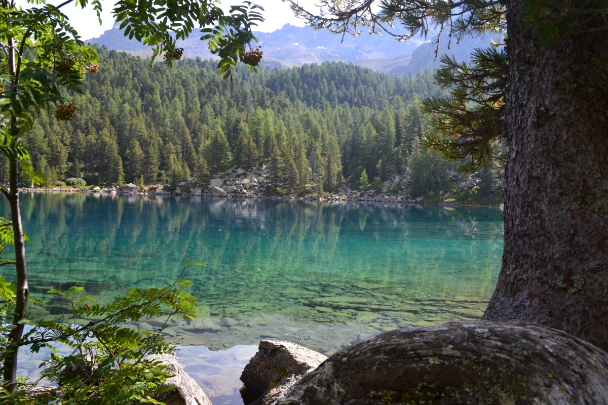 Lago Saoseo, Val di Campo