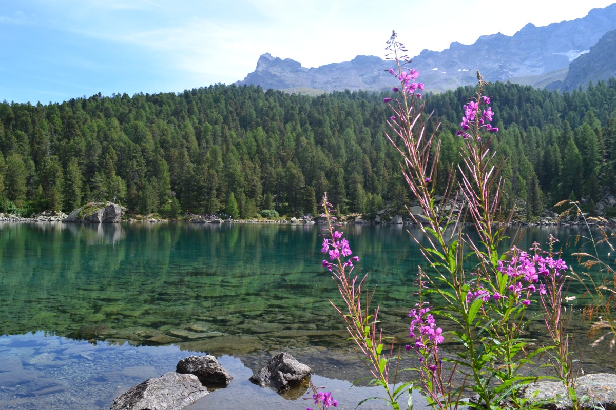 Lago Saoseo, Val di Campo